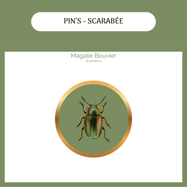 Pin's - Scarabée