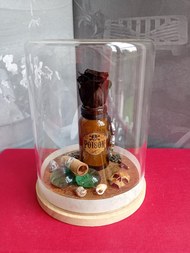 D23 Mini pirate noir