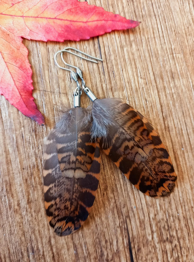 Boucles d&#039;oreilles bécasse 