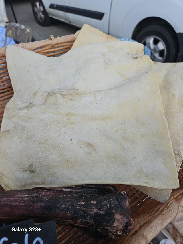  Buffalo Plates- Air Dried 