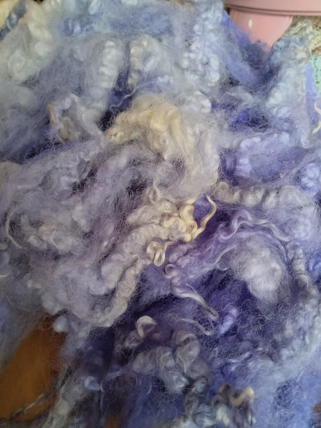 Morceaux de toison BFL Croisé Boucles0002