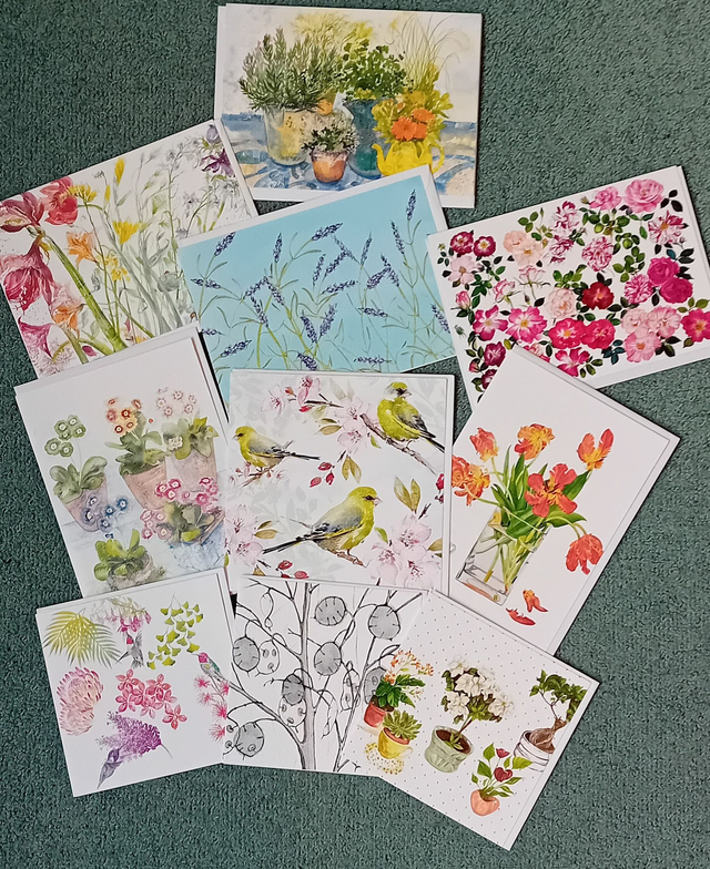 Nature Card Bundle (x10)