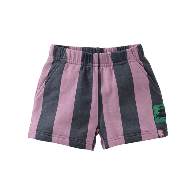 Z8 mini Ernesto Lavenda