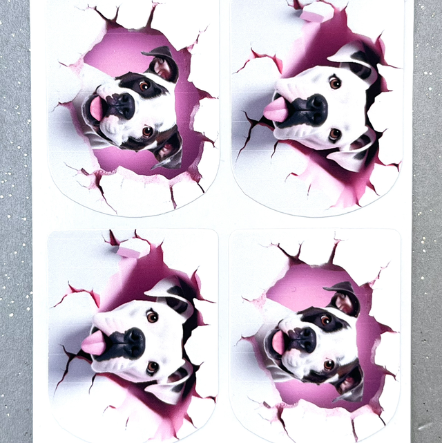 Cute Boxer Dog Stickers (Set of 4)