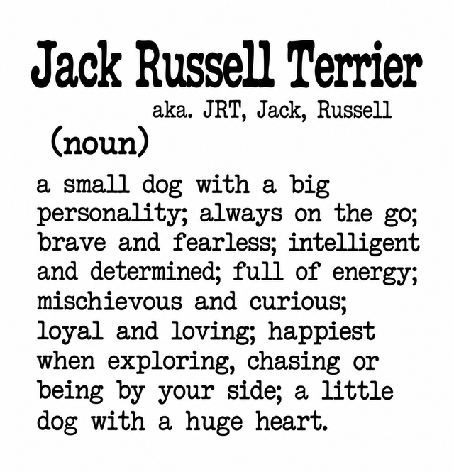Dog Breed Definition Mug – Jack Russell Terrier | Funny Dog Lover Gift