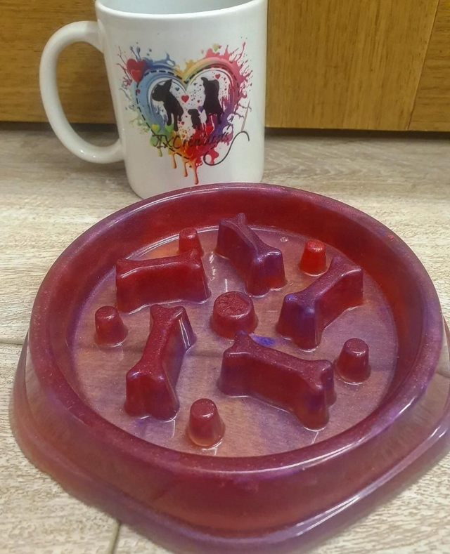 Gamelle Découverte Chien