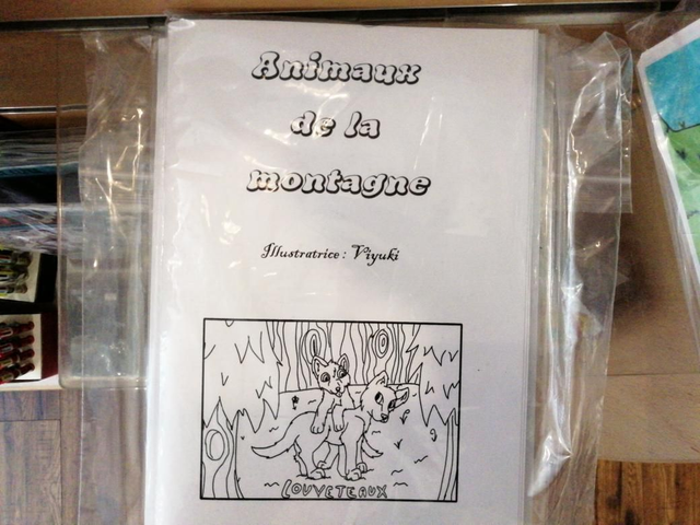 Kit de 16 cartes Colo de viyuki 