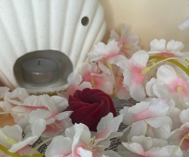 Fondant parfumé Fruit défendu - 18 grammes