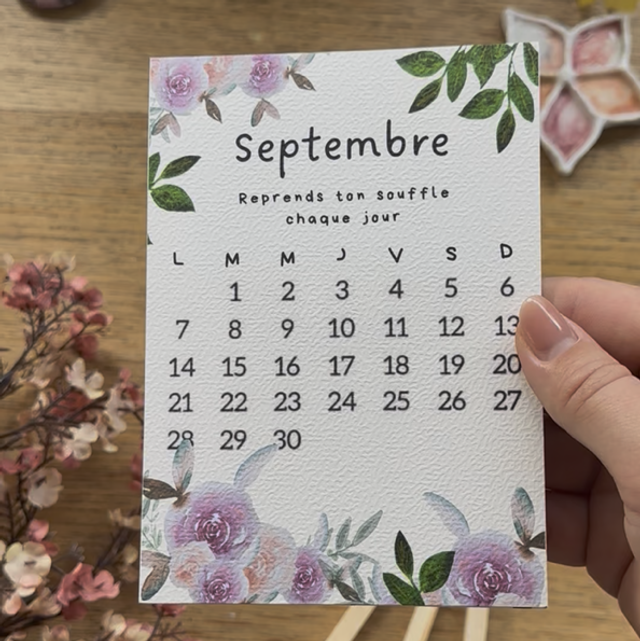 Mon joli calendrier illustré 2026 (2 éditions)
