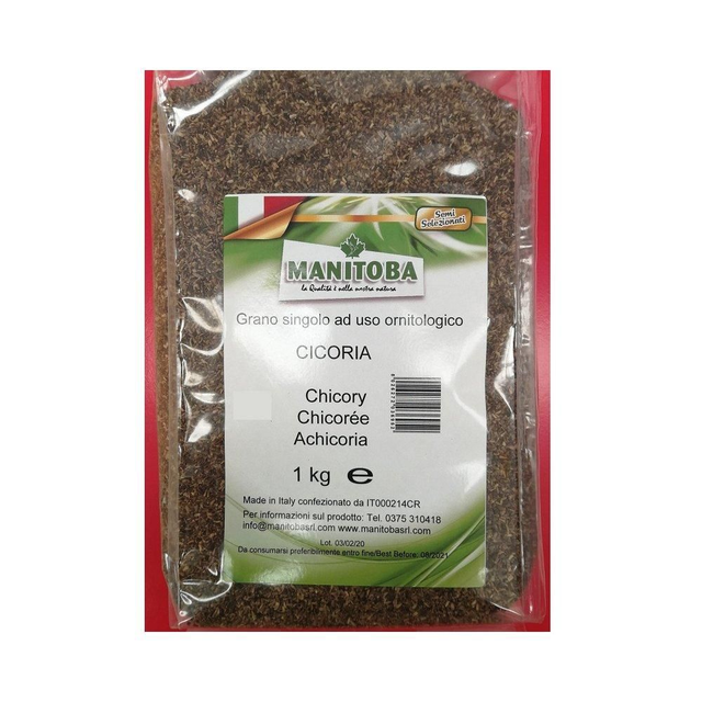 Semi di Cicoria 1 kg Manitoba
