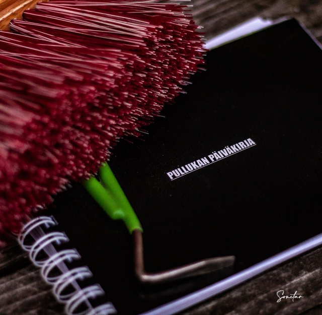 Pullukan Päiväkirja