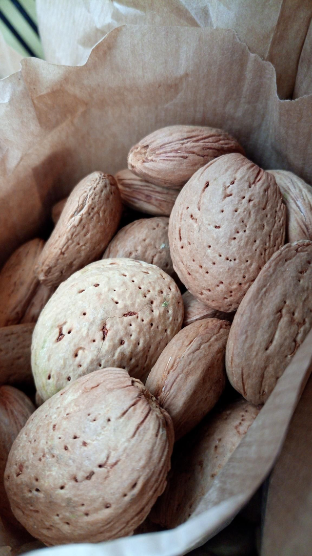 Almendras Crudas con Cascara