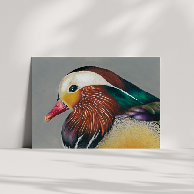 Carte de voeux - Canard mandarin