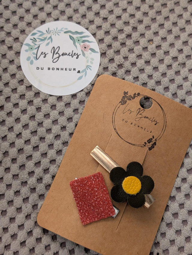 Barrette b048