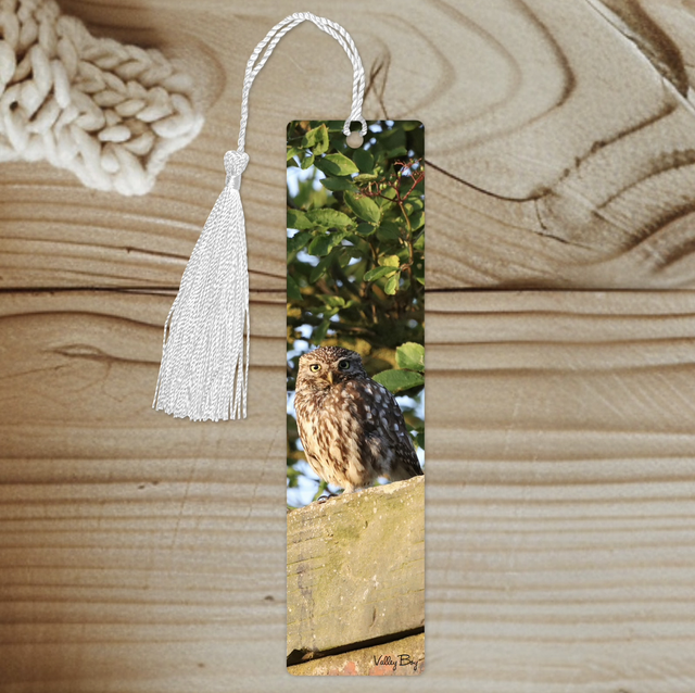 "Little Hootie" Bookmark 