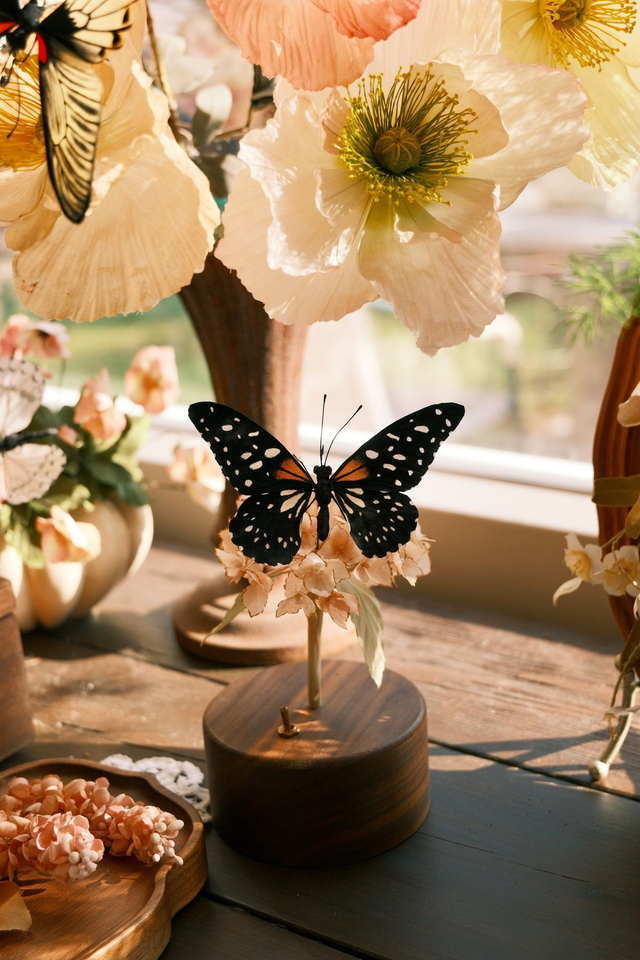 Flower Candlelight .003