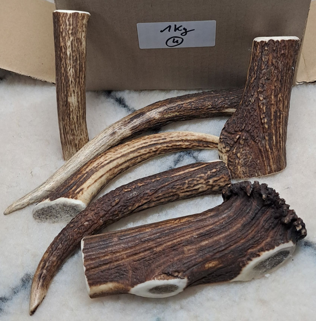 N°4  Bois de Cerf 1 KG