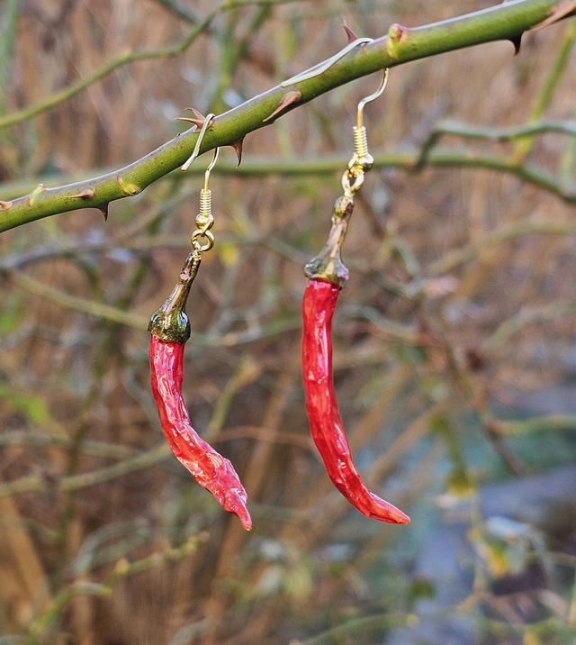 scharfe ChiliOhrringe mit 3 € Spendenanteil für den Tierschutz (Stecker vergoldet)