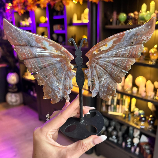 Ocean Jasper Butterfly Wings R57H17