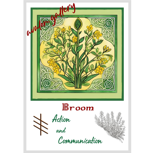 13. Broom - 'Action and Determination'