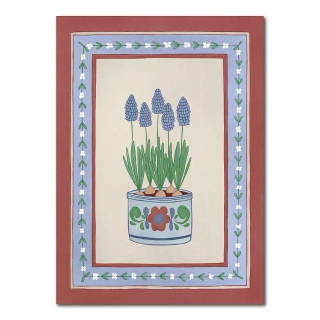 Blauwe druifjes | Kaart