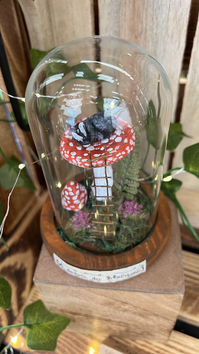 le dortoir du blaireau