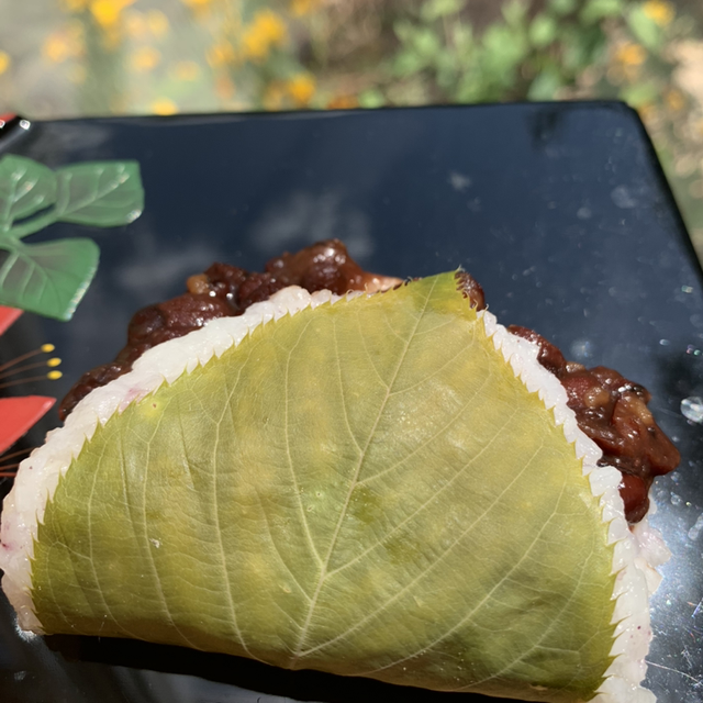 桜もちの葉(5枚入り)   5 feuilles de SAKURA 