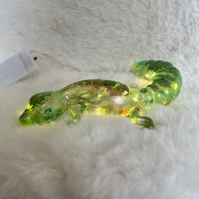 Gecko