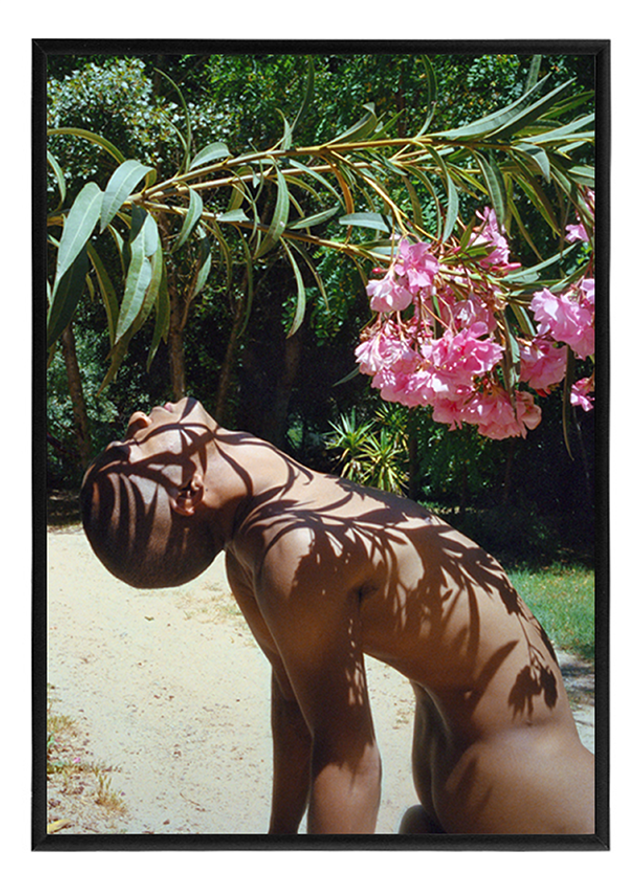 Framed Fine Art Print A2 Flower man