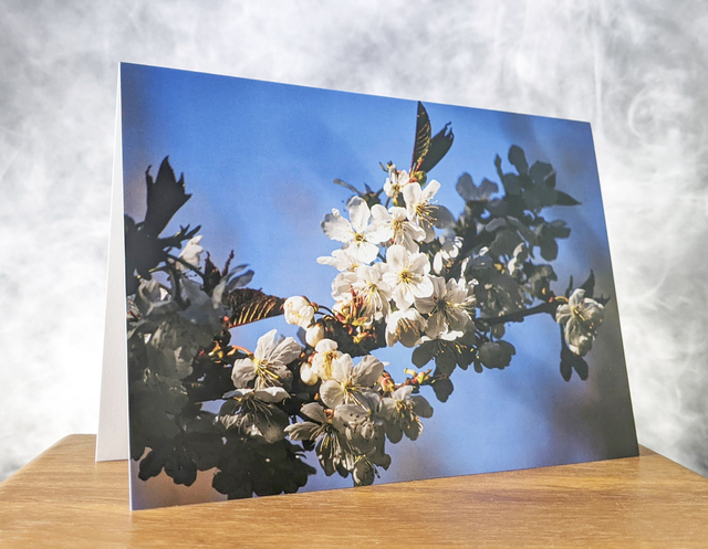 Blossom Blank Card