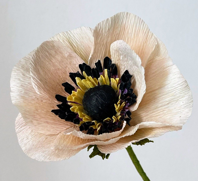 Cadre Poétique épuré "Selma"