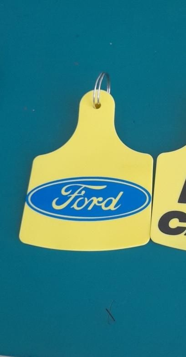 Ford key ring