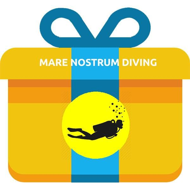 First Scuba Experience Gift Card