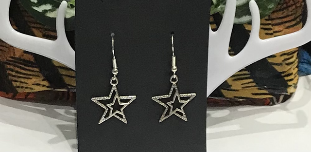 Silver Dangling Earrings- SDE45