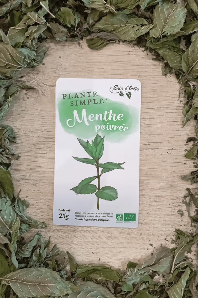 Plante simple, Menthe poivrée
