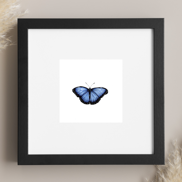Papillon - Blue Morpho
