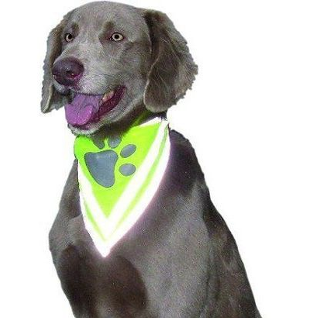 Karlie Safety dog day&night veiligheidshalsband met bandana L