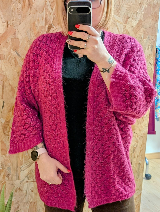 Ref P025 Gilet Annie prune 