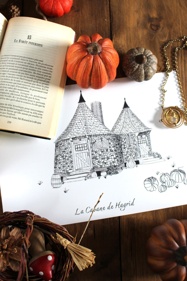 La cabane de Hagrid - carte postale