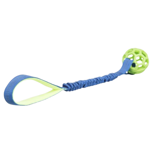 Cordon élastique pour tracter avec une balle