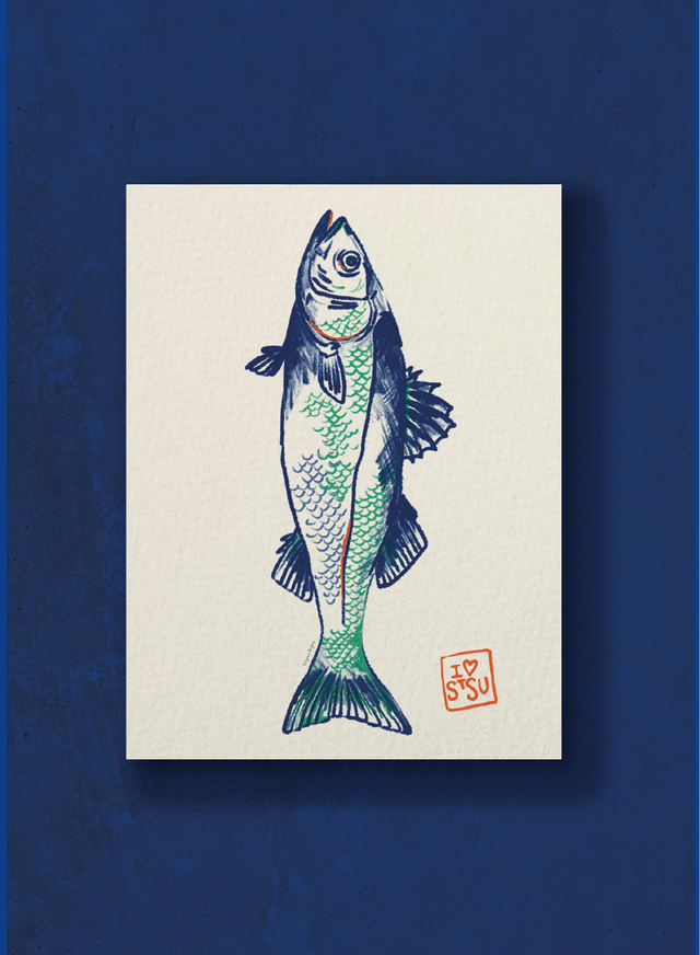 Affiche bar blanc / White sea bass poster