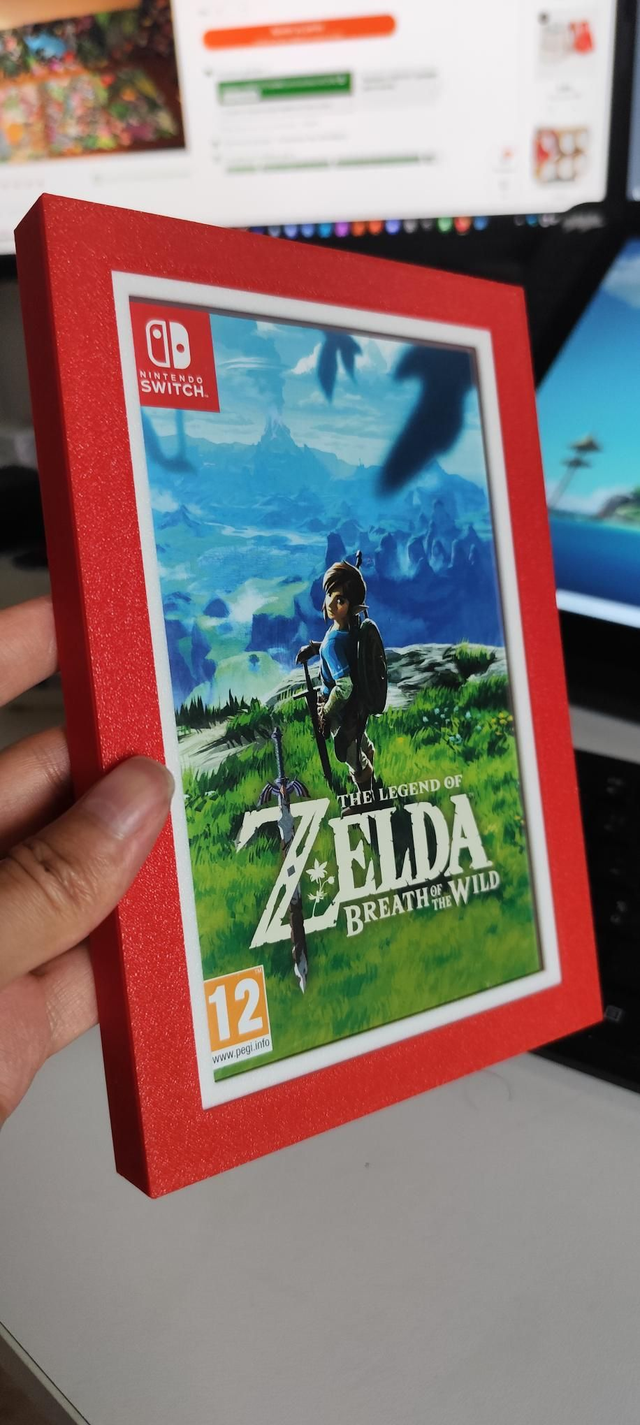 Cadre Nintendo Switch 1 & 2