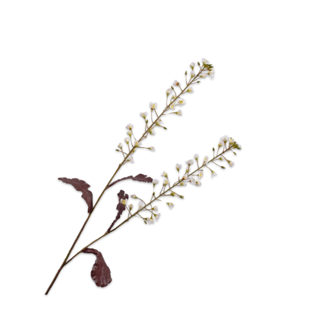 Silk-Ka Primula Tak Creme 85cm