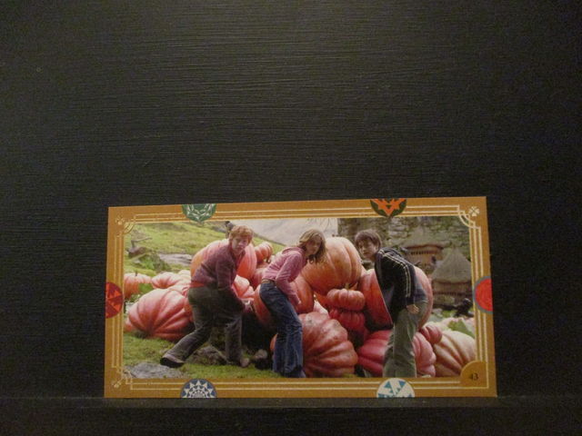 Harry Potter Original Trading Card #43