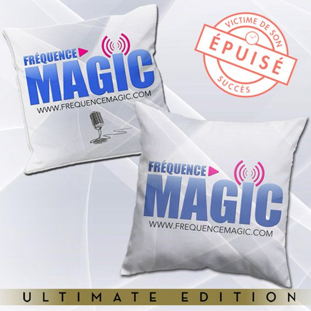 COUSSIN PETIT MODELE