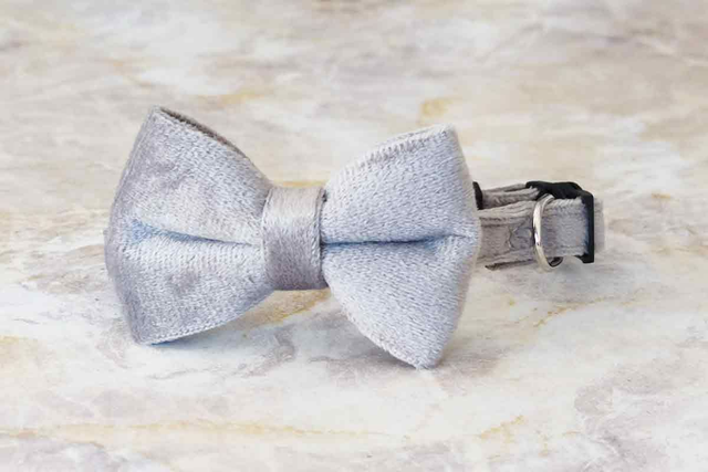 Velvet Grey Collar