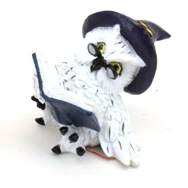 Chouette magique livre des incantations bleu