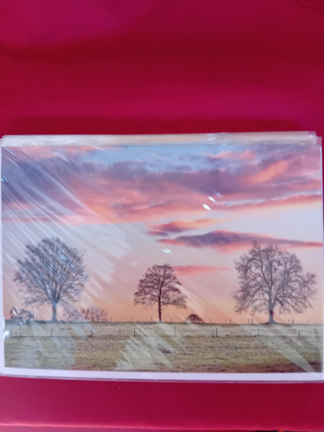 020 - Frosty glow card -Martin Fry 