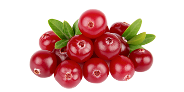 Cranberry Sauce