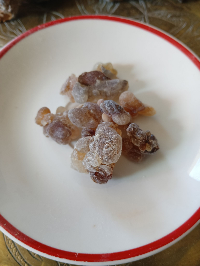 Larmes d'Oliban - Black Hojari de Salalah - Sultanat d'Oman